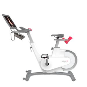 Купить Велотренажер Yesoul BV1-W PLUS в Мензелинске 